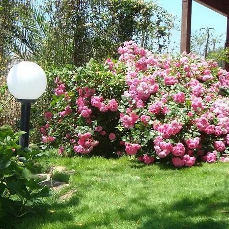 Solaris Vacanze Apartamento *